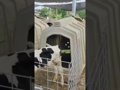 Équipement de la ferme laitière Calf Hutch